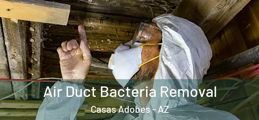  Air Duct Bacteria Removal Casas Adobes - AZ