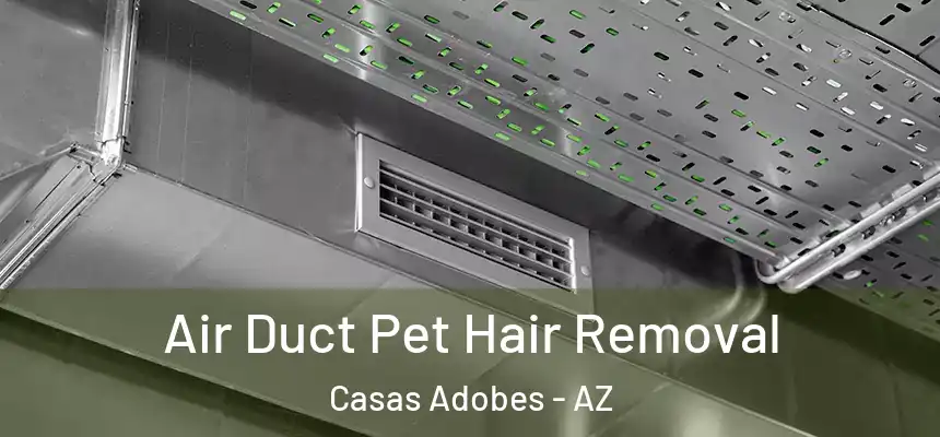  Air Duct Pet Hair Removal Casas Adobes - AZ