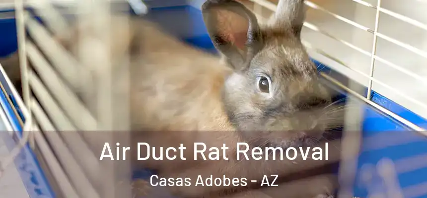 Air Duct Rat Removal Casas Adobes - AZ