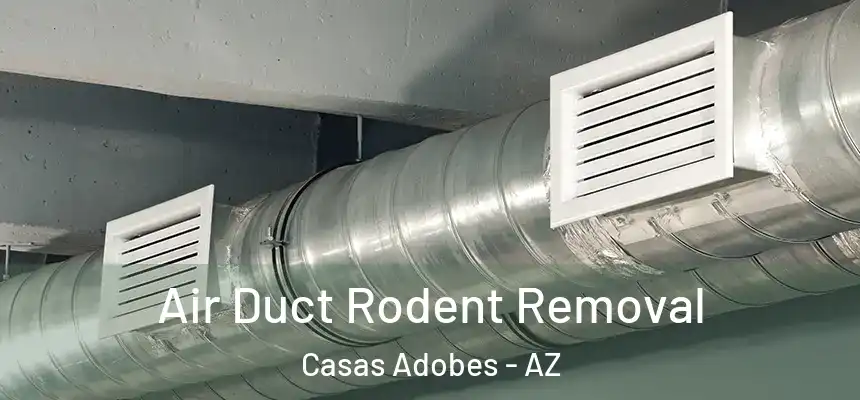 Air Duct Rodent Removal Casas Adobes - AZ
