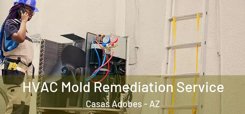 HVAC Mold Remediation Service Casas Adobes - AZ