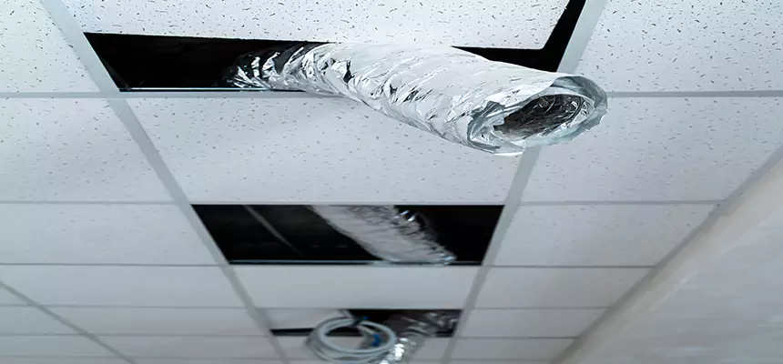 Our Air Duct Pet Hair Removal Services in Casas Adobes, AZ