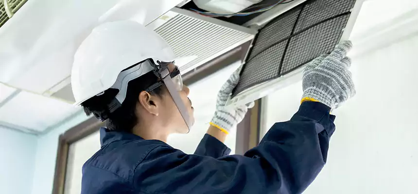 Our Mold & Mildew Removal from Air Ducts Services in Casas Adobes, AZ