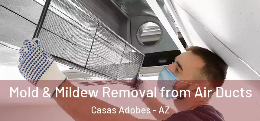  Mold & Mildew Removal from Air Ducts Casas Adobes - AZ