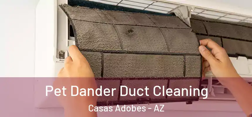 Pet Dander Duct Cleaning Casas Adobes - AZ