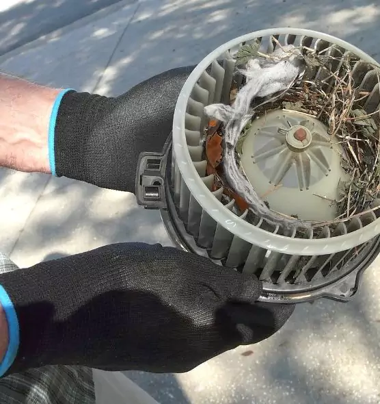 About Air Duct Mice Removal in Casas Adobes, AZ