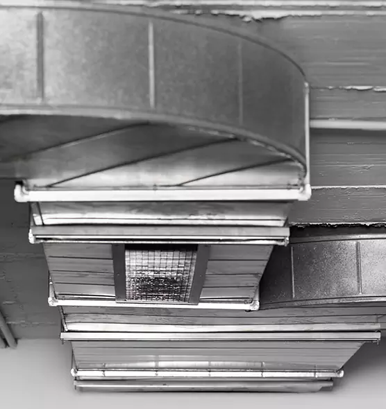 Professional Air Duct Pest Removal in Casas Adobes, AZ