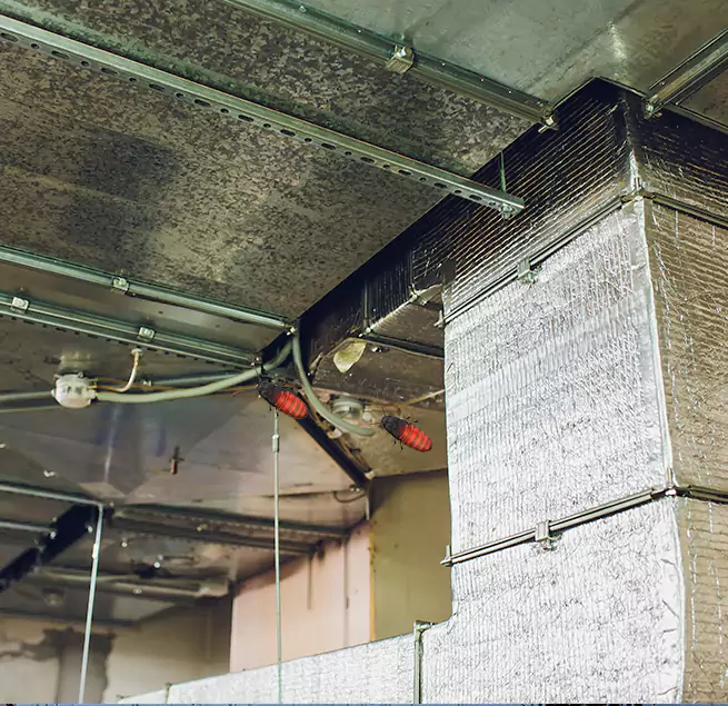 Why Homeowners & Businesses Trust Us in Casas Adobes, AZ?