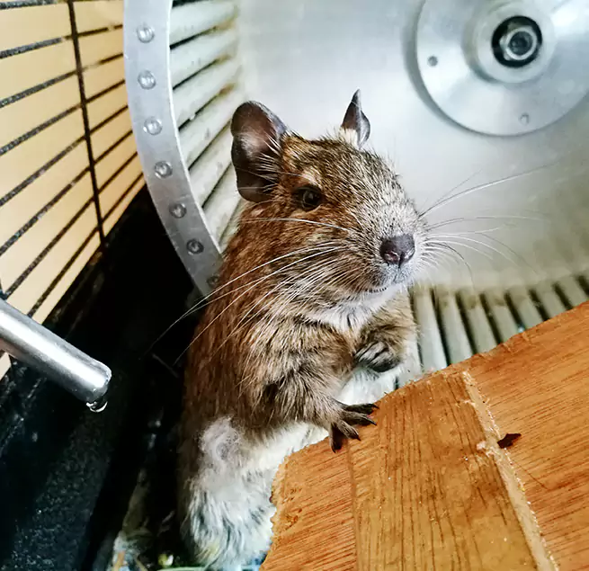 Why Homeowners & Businesses Trust Us Casas Adobes, AZ