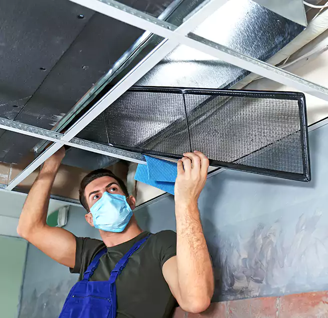 Why Homeowners Businesses Trust Us in Casas Adobes, AZ