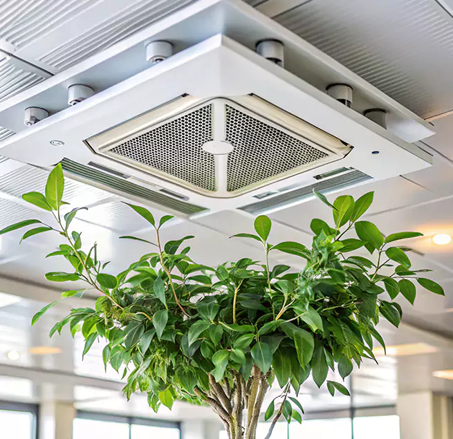 Why Homeowners & Businesses Trust Us in Casas Adobes, AZ?